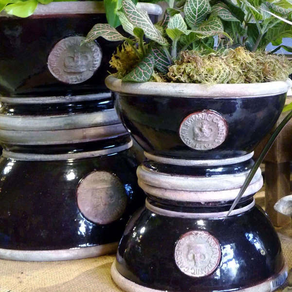 Petals Patio & Garden Hampton Kew Footed Bowl, 3 Seal