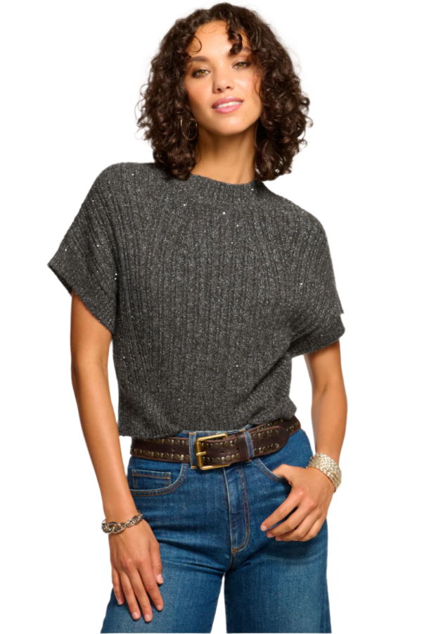 Ramy Brook Amadeus Short Sleeve Wool Sweater