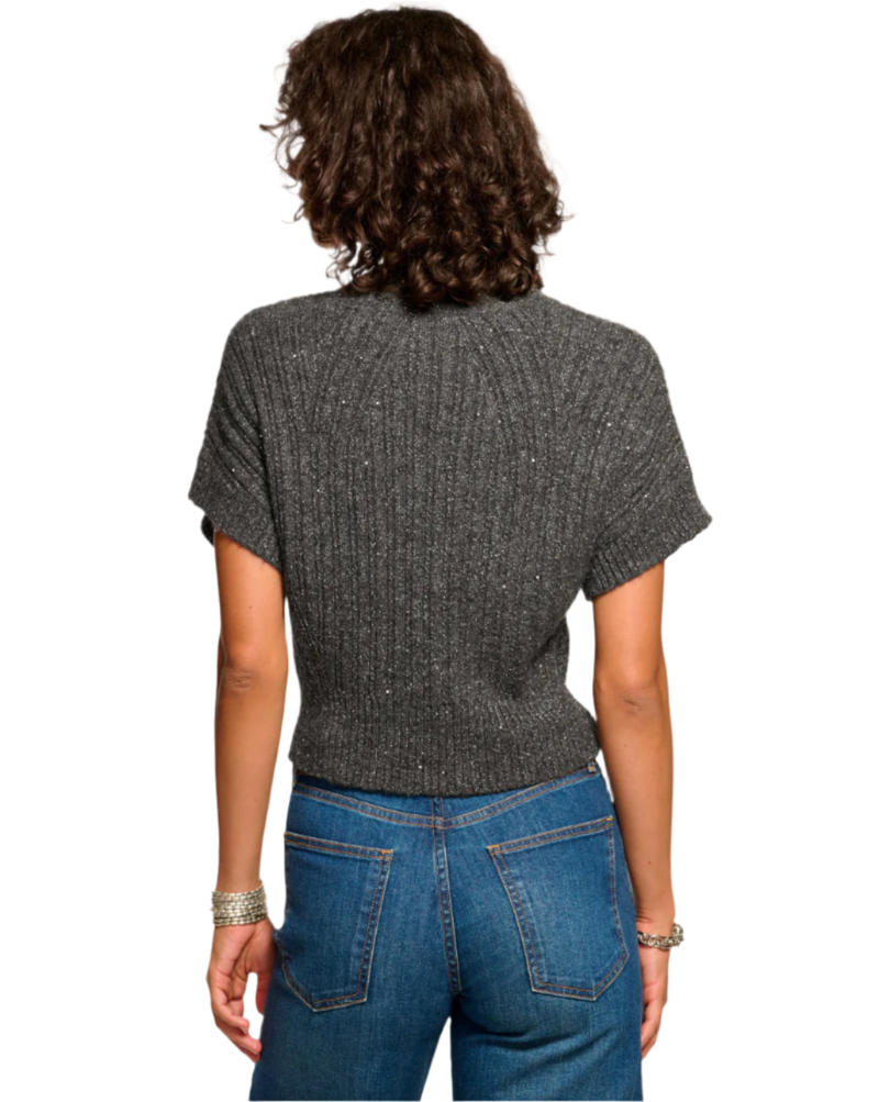 Ramy Brook Amadeus Short Sleeve Wool Sweater