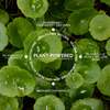 Fitglow Beauty Plant Active Peel Pads - Thumbnail 6