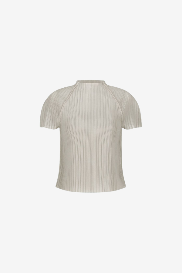 AMOMENTO Pleats Raglan Top - Beige