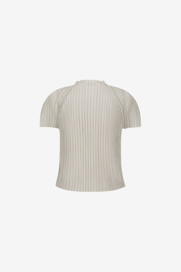 AMOMENTO Pleats Raglan Top - Beige