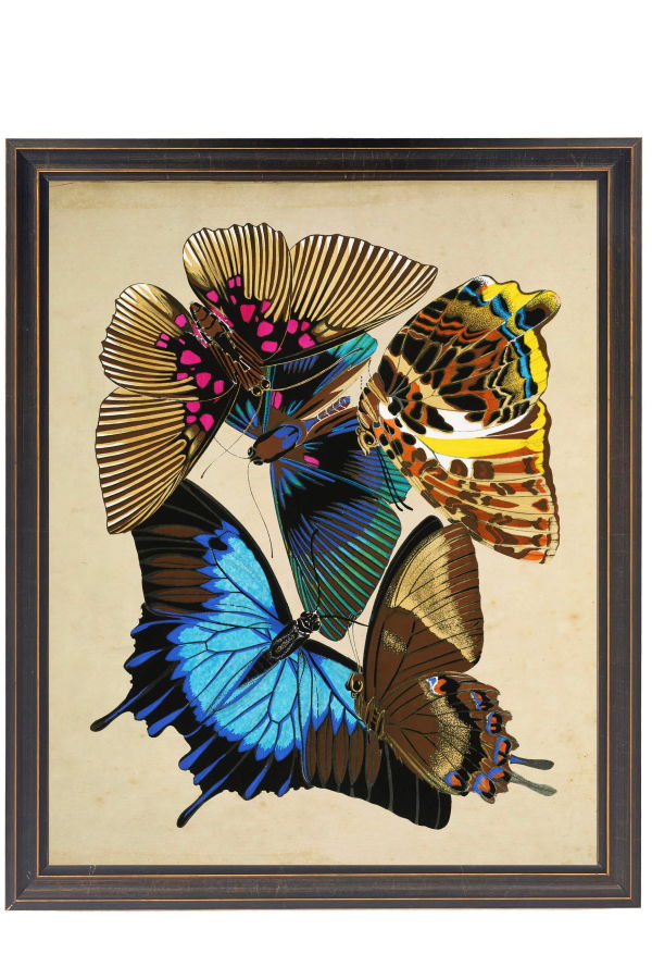 Antique Curiosities Vintage Bright Multi Butterfly Print on a Distressed Background in a Copper and Black Shaped Frame Sized 18x24 Framed Print