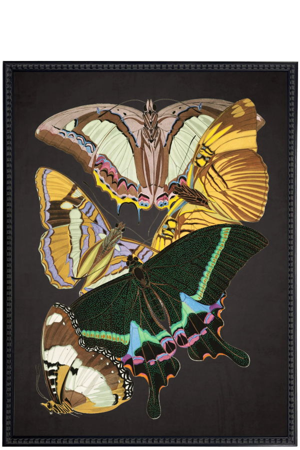 Antique Curiosities Vintage Bright Multi Butterfly Print Wall Art