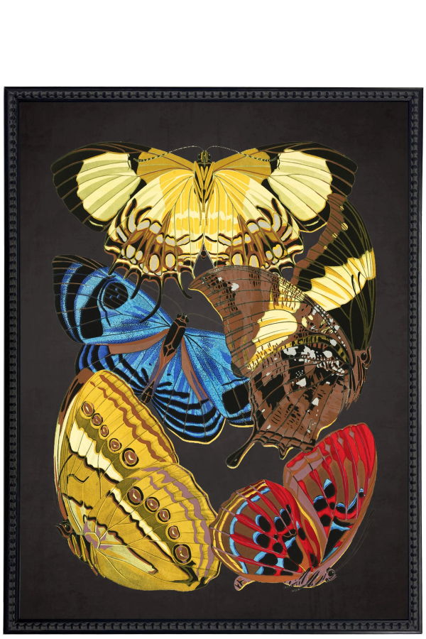 Antique Curiosities Vintage Bright Multi Butterfly Print Framed Print