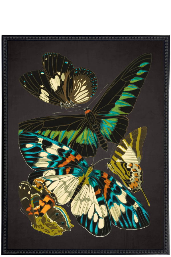 Antique Curiosities Vintage Bright Multi Butterfly Print Framed Wall Art