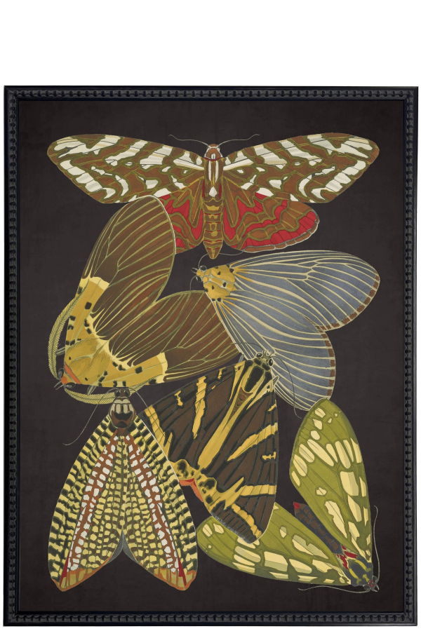 Antique Curiosities Vintage Bright Multi Butterfly Framed Print