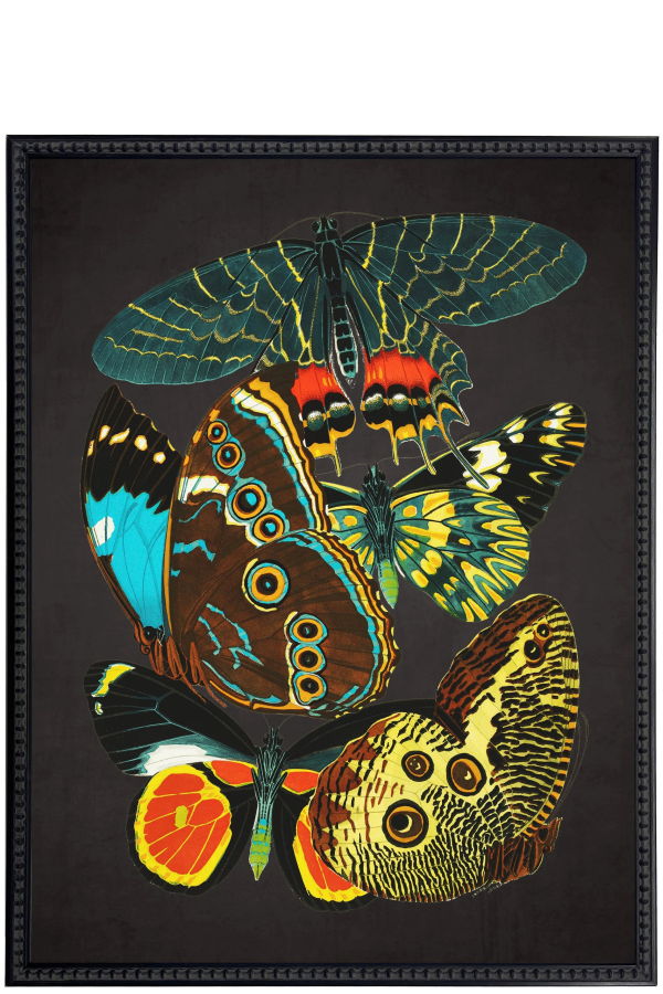 Antique Curiosities Vintage Bright Multi Butterfly Print in Beaded Black Frame 18x24 Framed Print