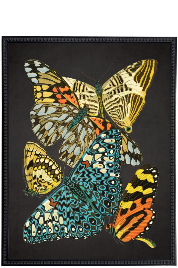Antique Curiosities Vintage Bright Multi Butterfly Framed Print