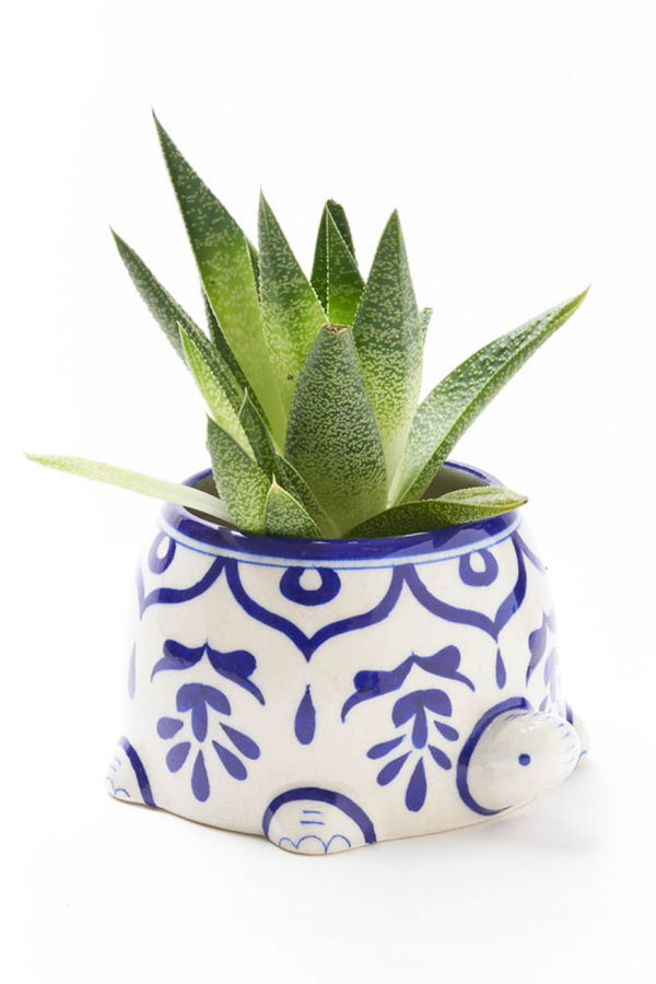 Matr Boomie Lalita Mama Turtle Succulent Planter