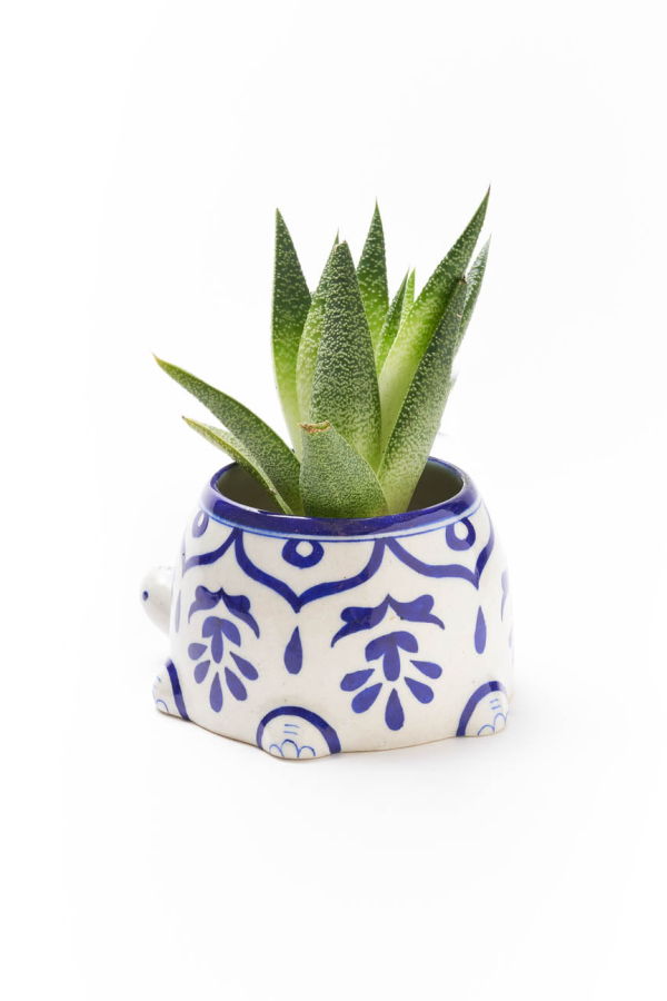 Matr Boomie Lalita Mama Turtle Succulent Planter
