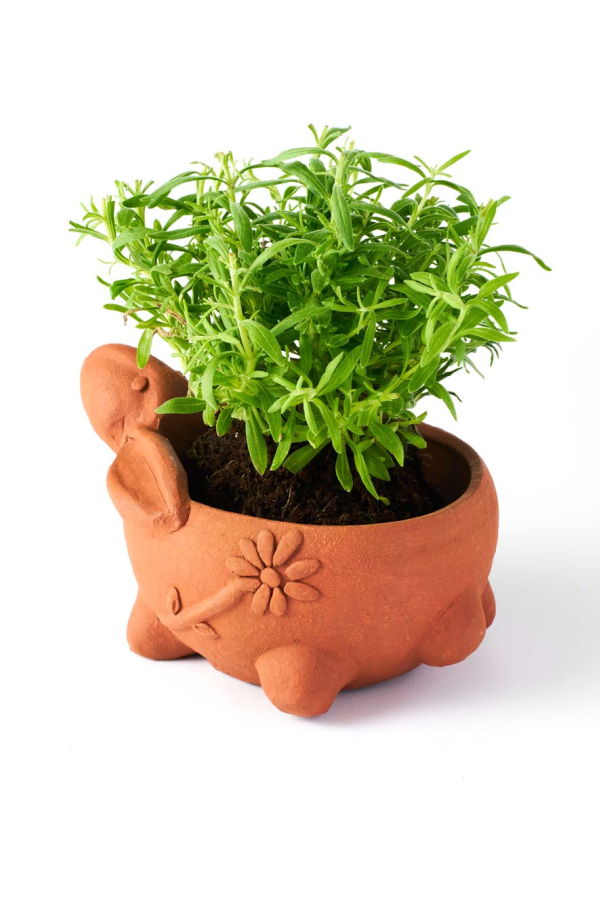 Matr Boomie Rakshana Rabbit Plant Pot - Terracotta