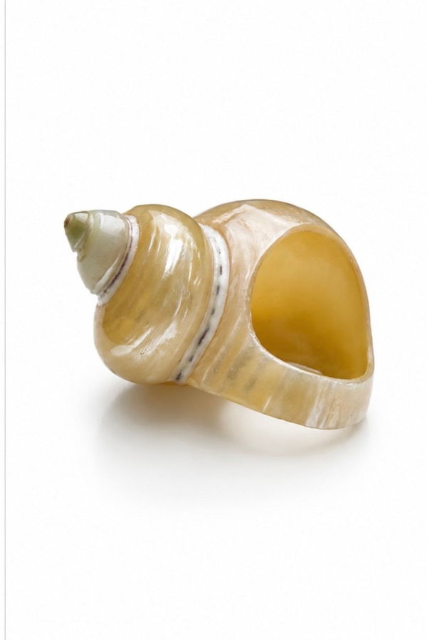 LOBA Nautilus Shell Ring - Gold