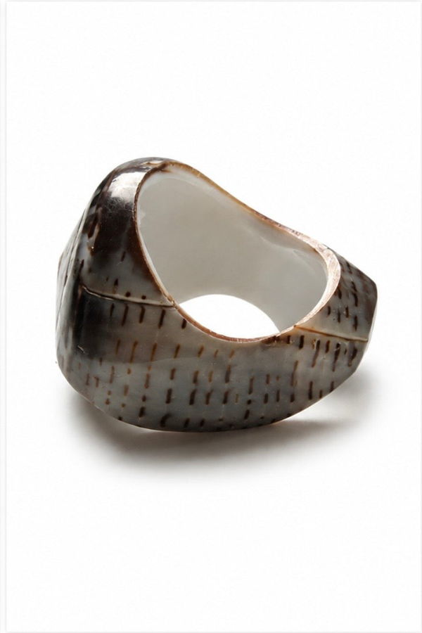LOBA Nautilus Shell Ring