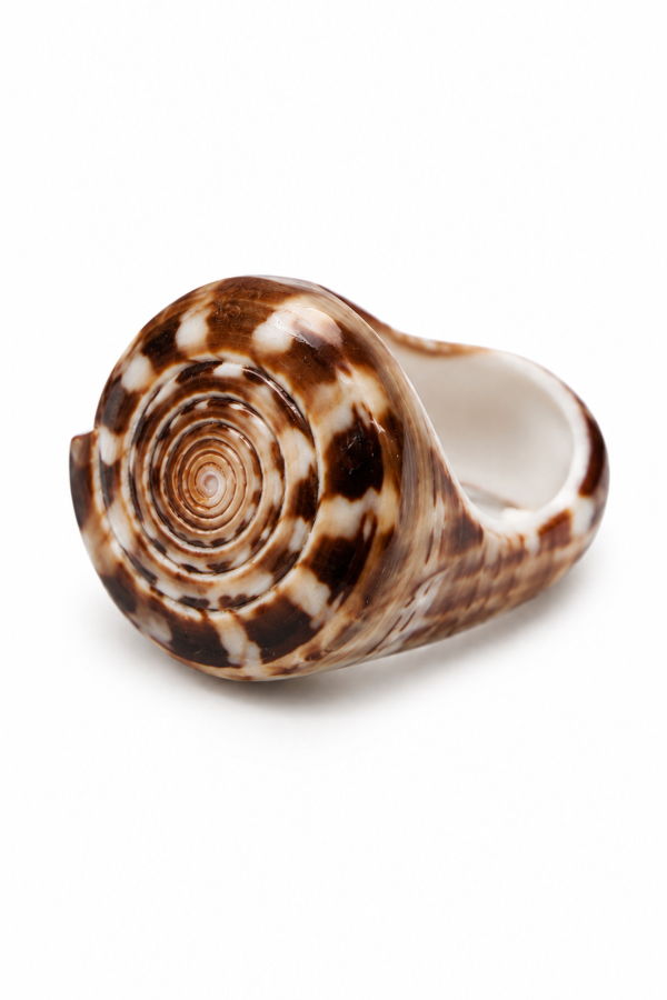 LOBA Nautilus Shell Ring - Light Brown