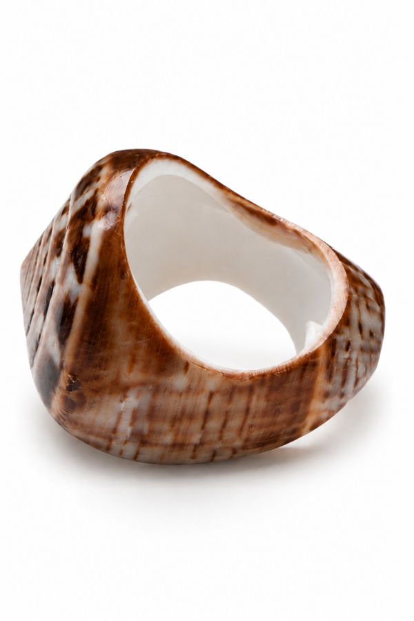 LOBA Nautilus Shell Ring - Light Brown