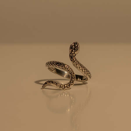 All Blues Snake Ring - Silver | Garmentory