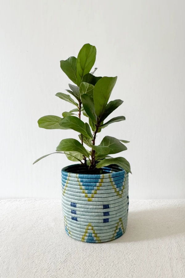 amsha Bunda Plant Baskets