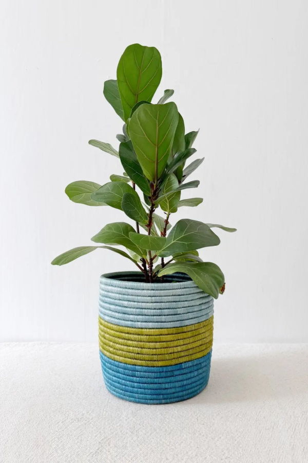 amsha Kakobe Plant Baskets