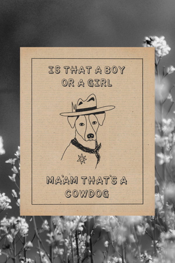 Sweet Cowboy Blues Ma'am That's a Cowdog Print