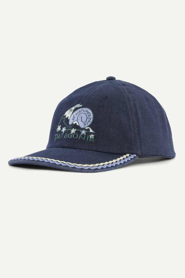 Patagonia Graphic Trad Cap - Nature's Pace: Original Standard