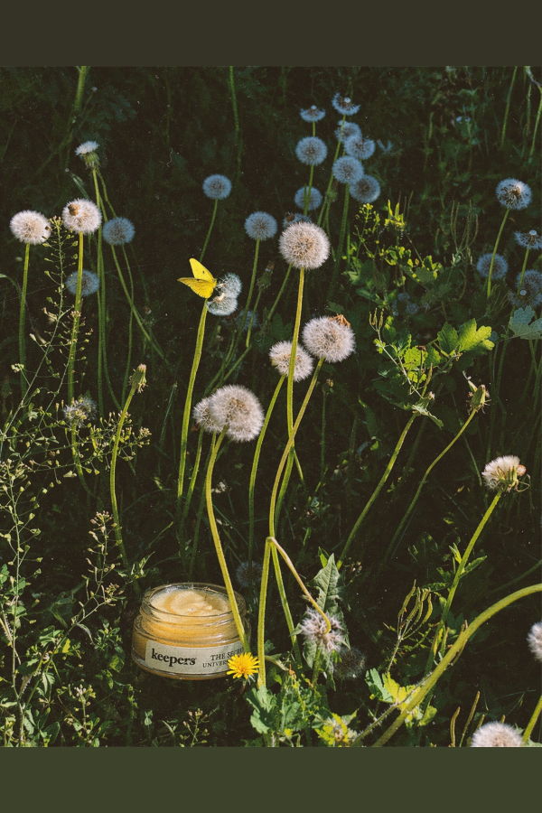 Keepers Collective The Secret Universal Salve