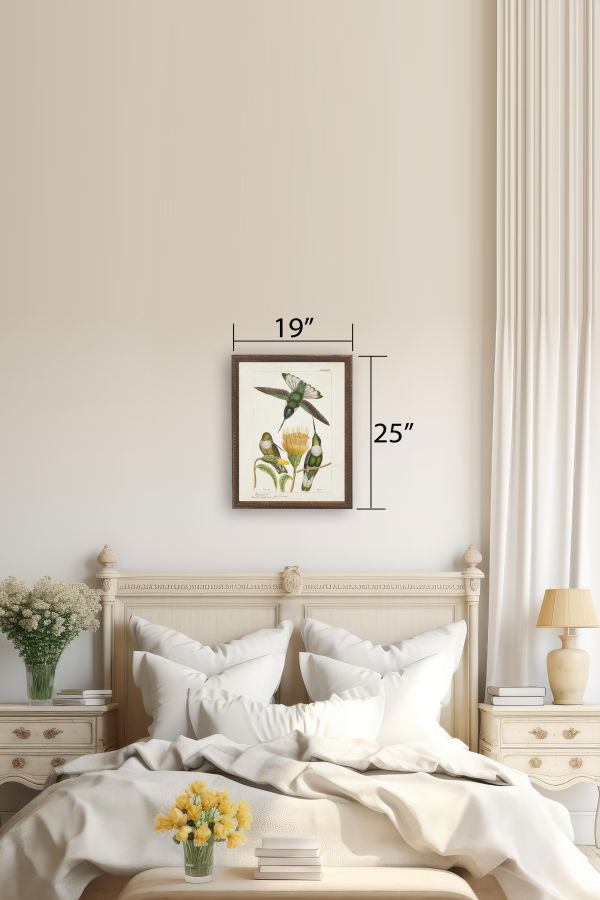 Antique Curiosities Hummingbirds and Yellow Flower in Bronze-Beaded Frame Framed Print