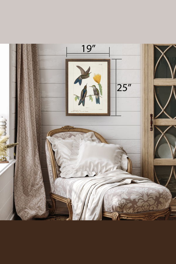 Antique Curiosities Hummingbirds Around Yellow Flower in Bronze-Beaded Frame Framed Print