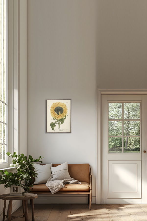 Antique Curiosities Sunflower in Silver-Beaded Frame Framed Print
