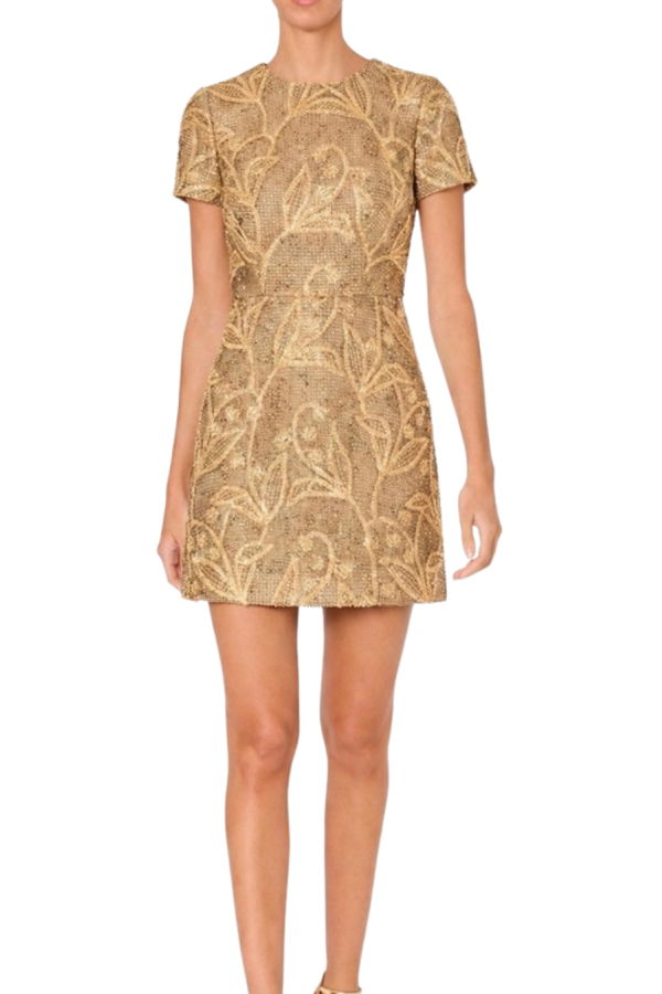 Milly Daisy Embroidered Lace Mini Dress - Gold Multi
