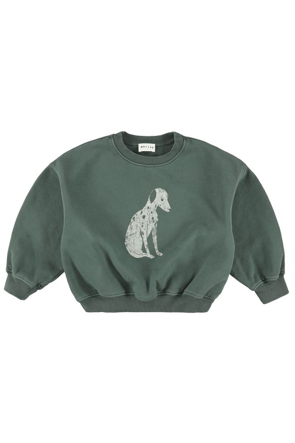 KIDS Morley Zaragoza Dalmatier Print Sweatshirt - Green