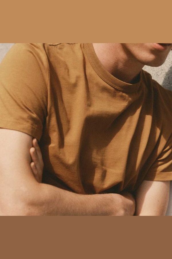 Taylor Stitch Regenerative Cotton Tee