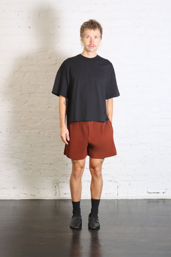 HOMME PLISSE ISSEY MIYAKE Color Pleats 1 Shorts