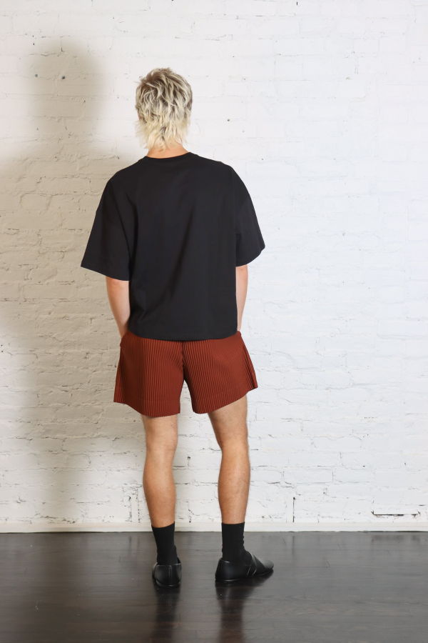 HOMME PLISSE ISSEY MIYAKE Color Pleats 1 Shorts