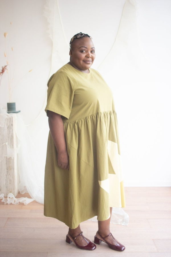 Birds of North America Lapwing Dress