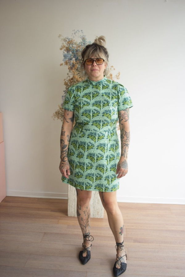 Birds of North America Spadebill Dress
