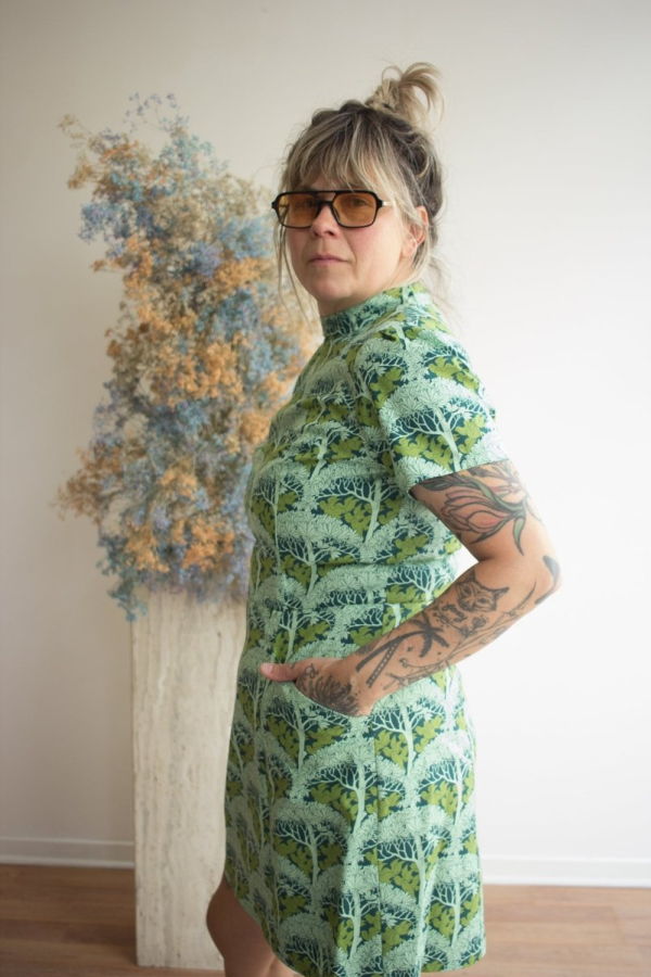 Birds of North America Spadebill Dress