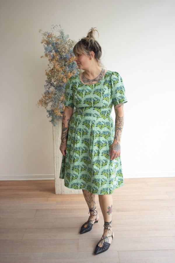 Birds of North America Winter Chippy Dress