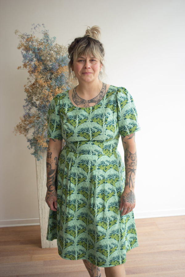 Birds of North America Winter Chippy Dress
