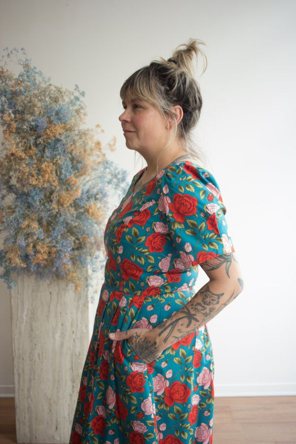 Birds of North America Winter Chippy Dress