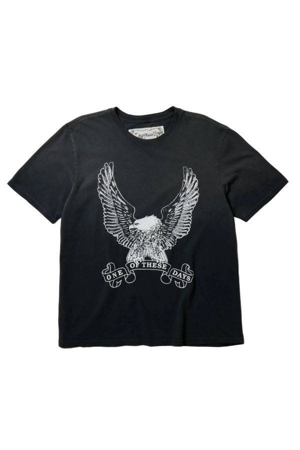 One Of These Days American Original Tee