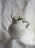 YYY Speckled Jug - Thumbnail 1