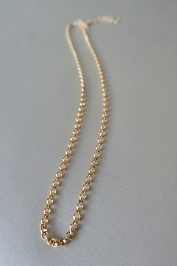 Annika Inez Swivel Chain Necklace