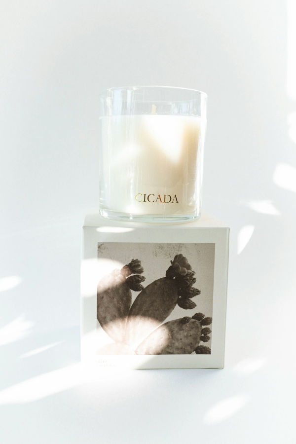 CICADA Prickly Pear Candle