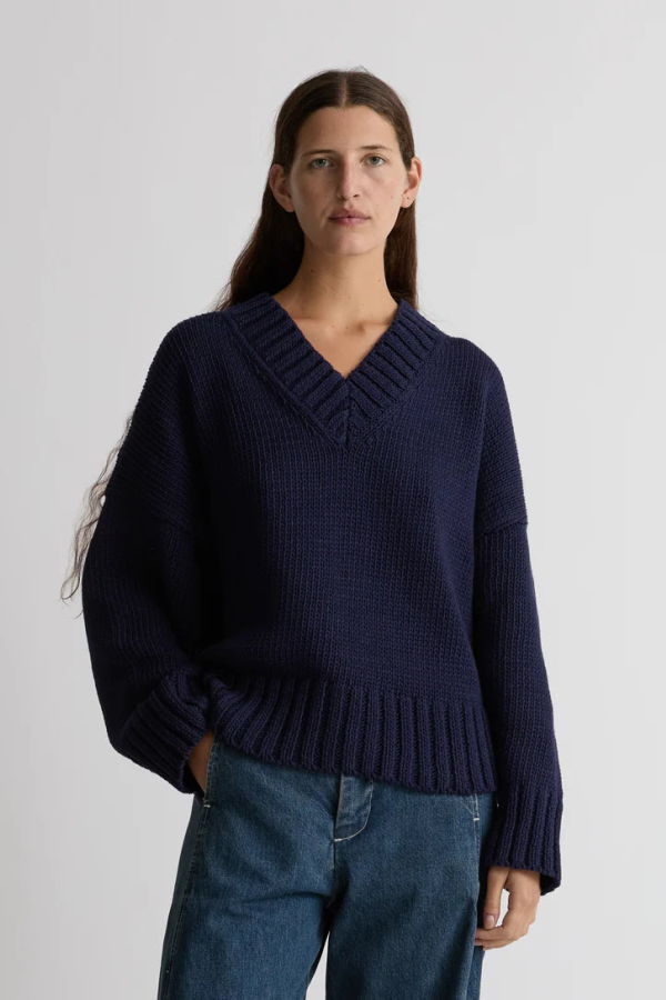 Shaina Mote Paolo V Neck Sweater