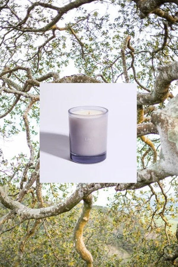 Liis Reyes Candle
