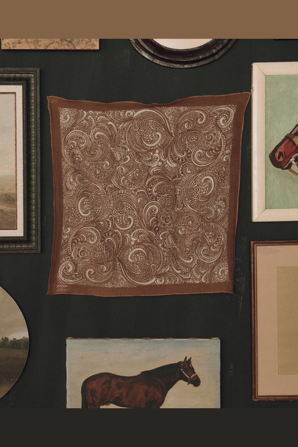 The Great. The Stetson Western Paisley Scarf - Rust