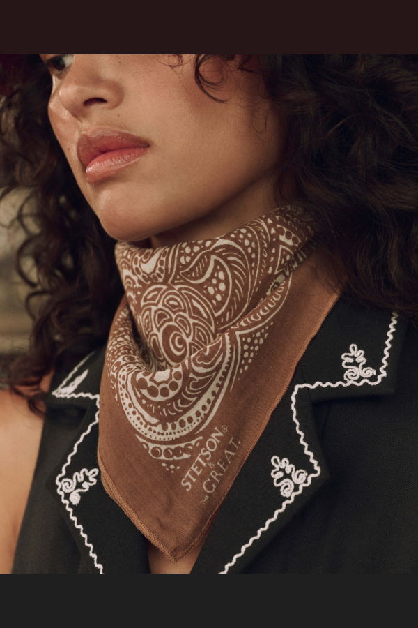 The Great. The Stetson Western Paisley Scarf - Rust