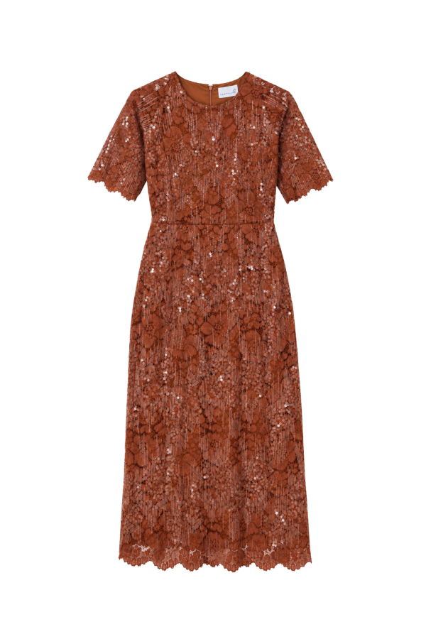 Cartolina Bobbi Sequin Lace Midi Dress