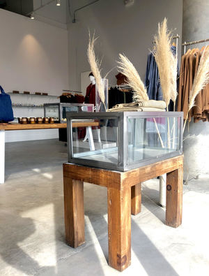 Neeko-20181119202607